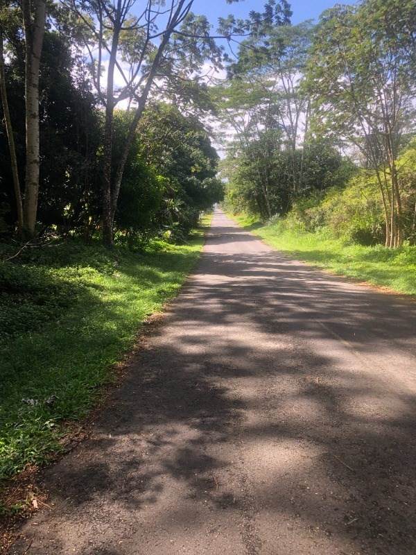 16TH AVE (LAAU PAINA) - Photo 1
