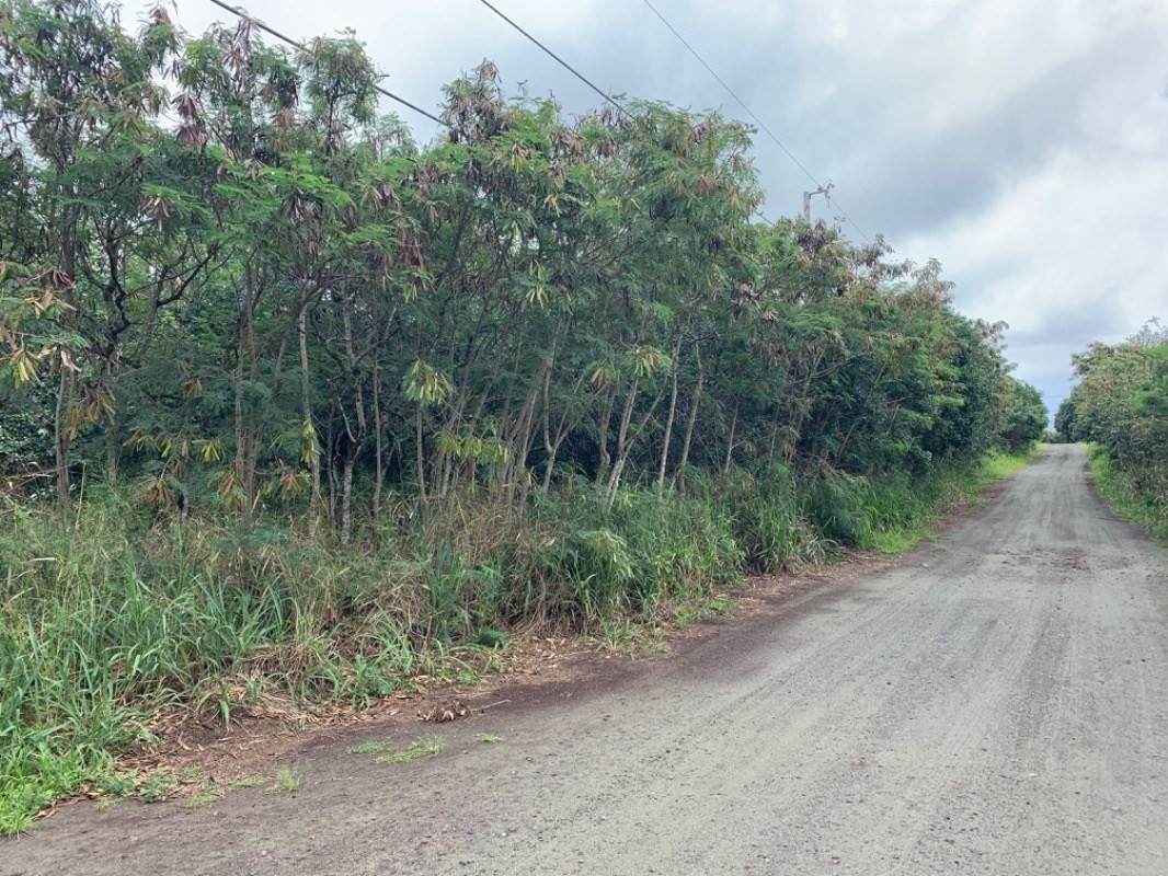 Mauka St - Photo 1