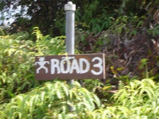 Hopue Rd (Road 3) - Photo 1