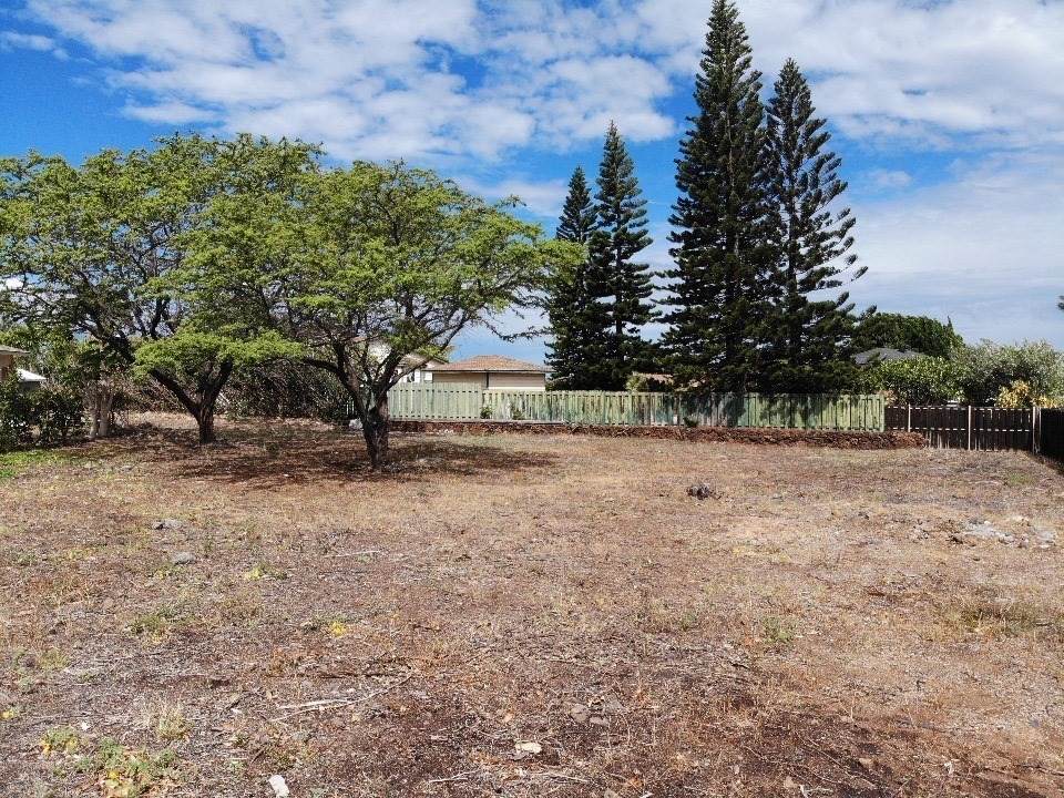 68-1683 Akaula St - Photo 1
