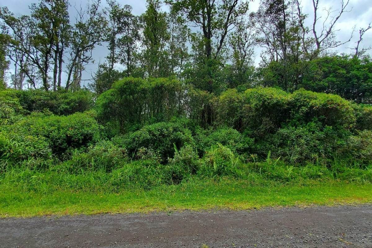 Sugarcane Ln - Photo 1