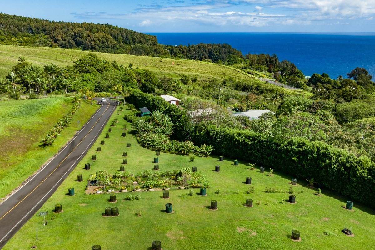 36-3331 Kuwili Lani Place - Photo 1