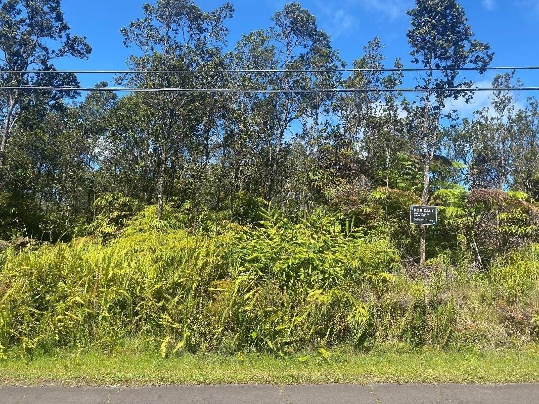 Ohialani Rd - Photo 1