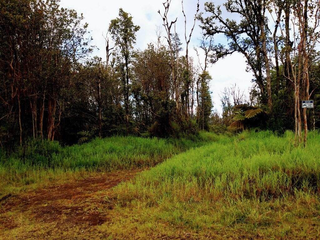16-1537 Ooaa Rd (Road 6) - Photo 1