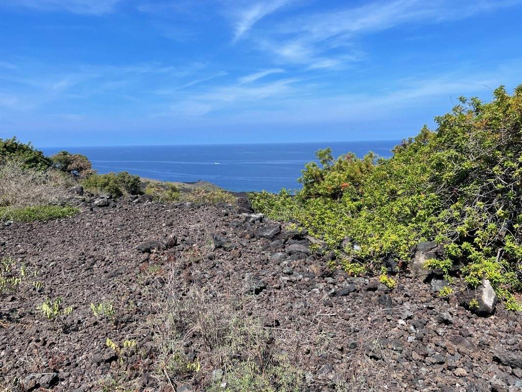 87-3027 Hawaii Belt Rd - Photo 1