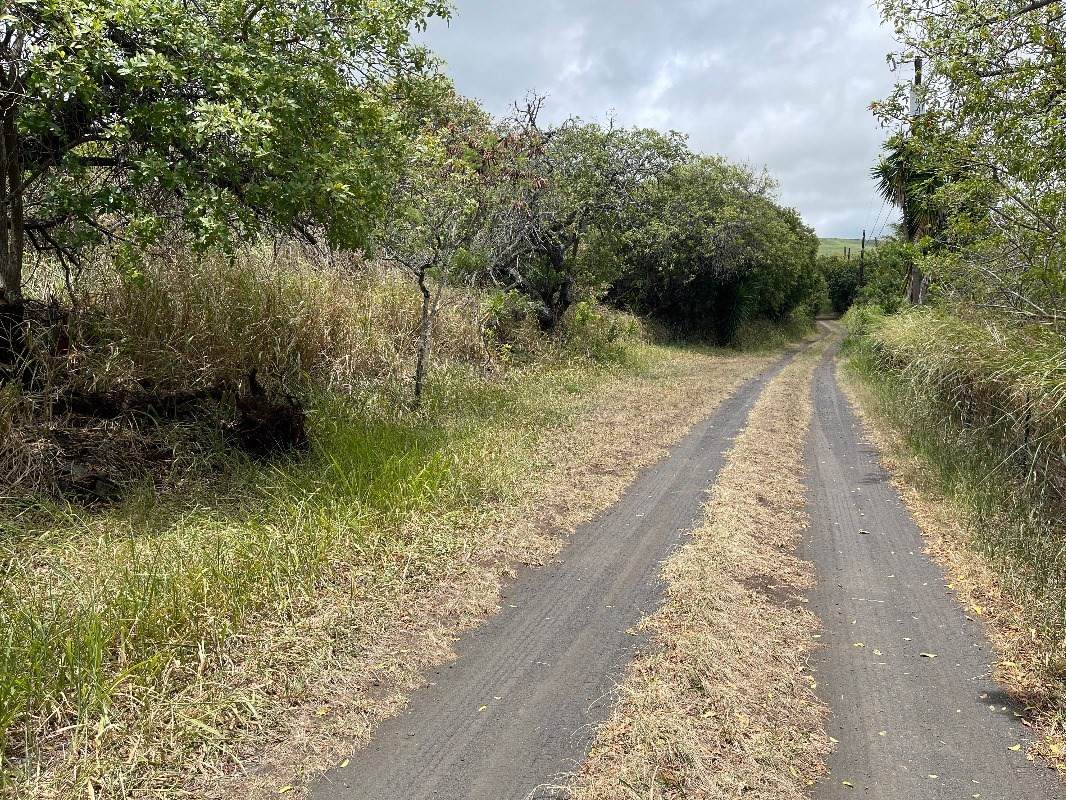 Malulani Rd - Photo 1