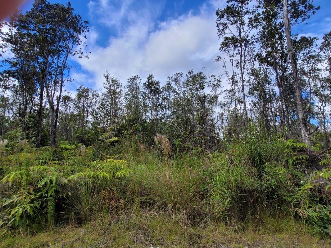 11-2998 Kaleponi Rd - Photo 1