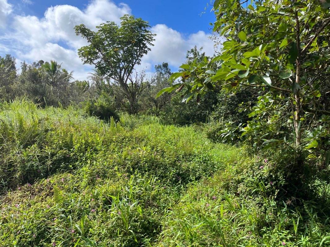 Puna St - Photo 1