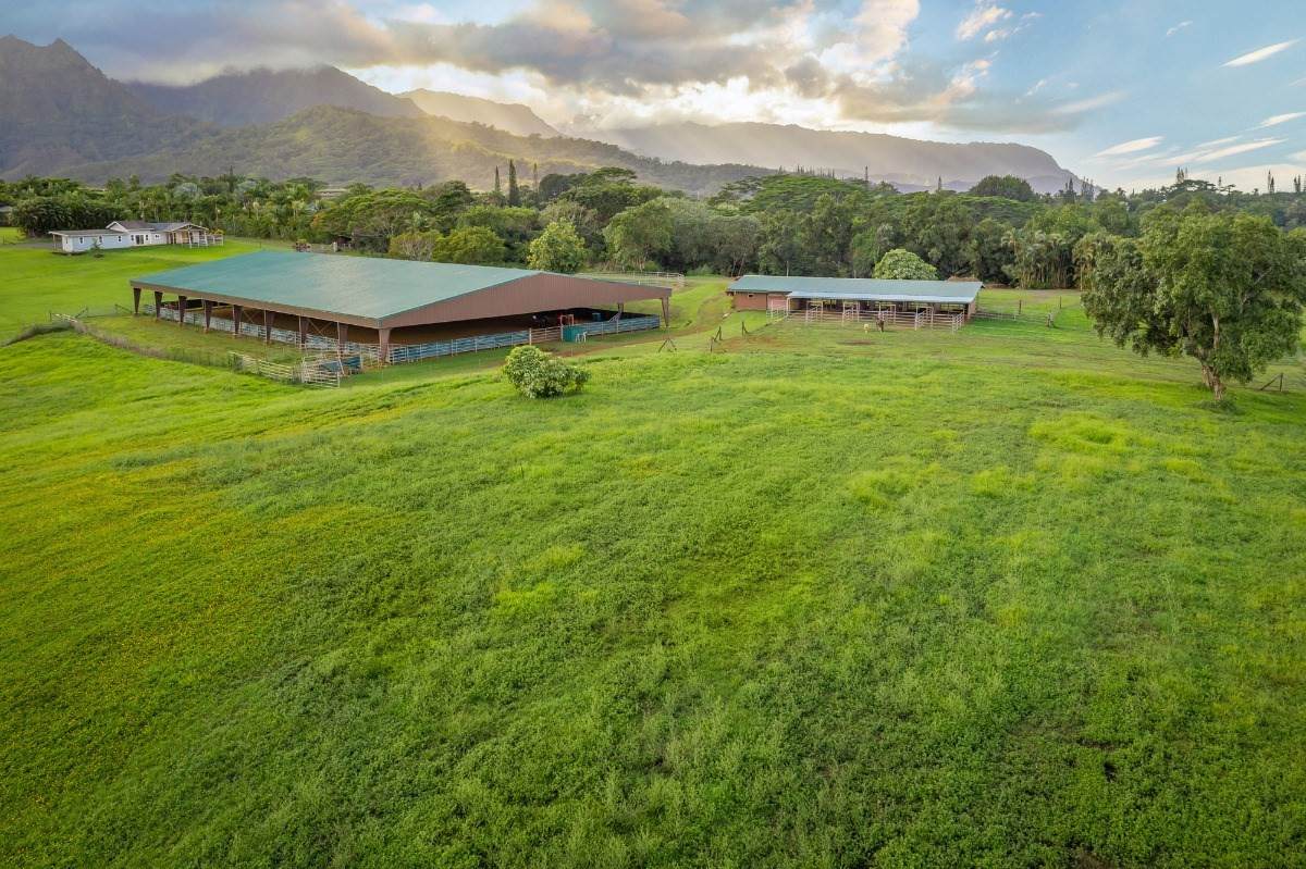 3836 Ahonui Pl - Photo 1