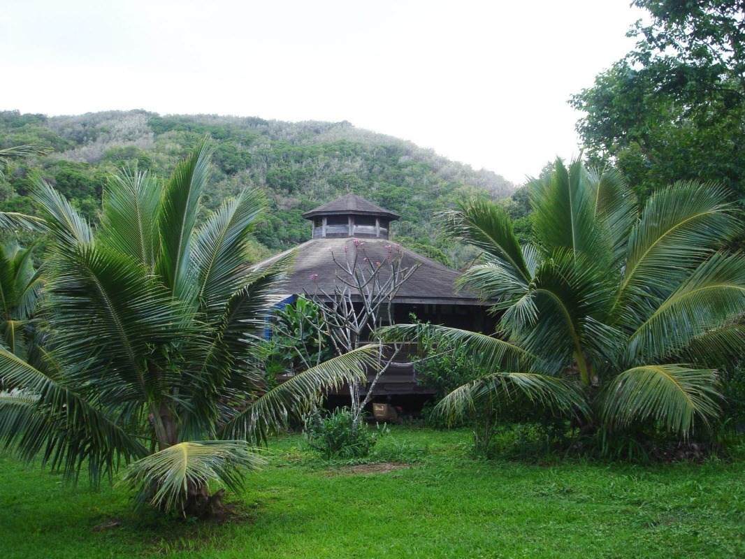 6565-C Koolau Rd - Photo 1