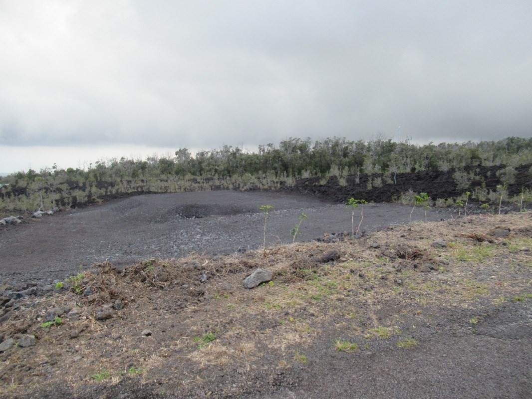 https://bt-photos.global.ssl.fastly.net/hawaii/orig_boomver_1_670031-2.jpg