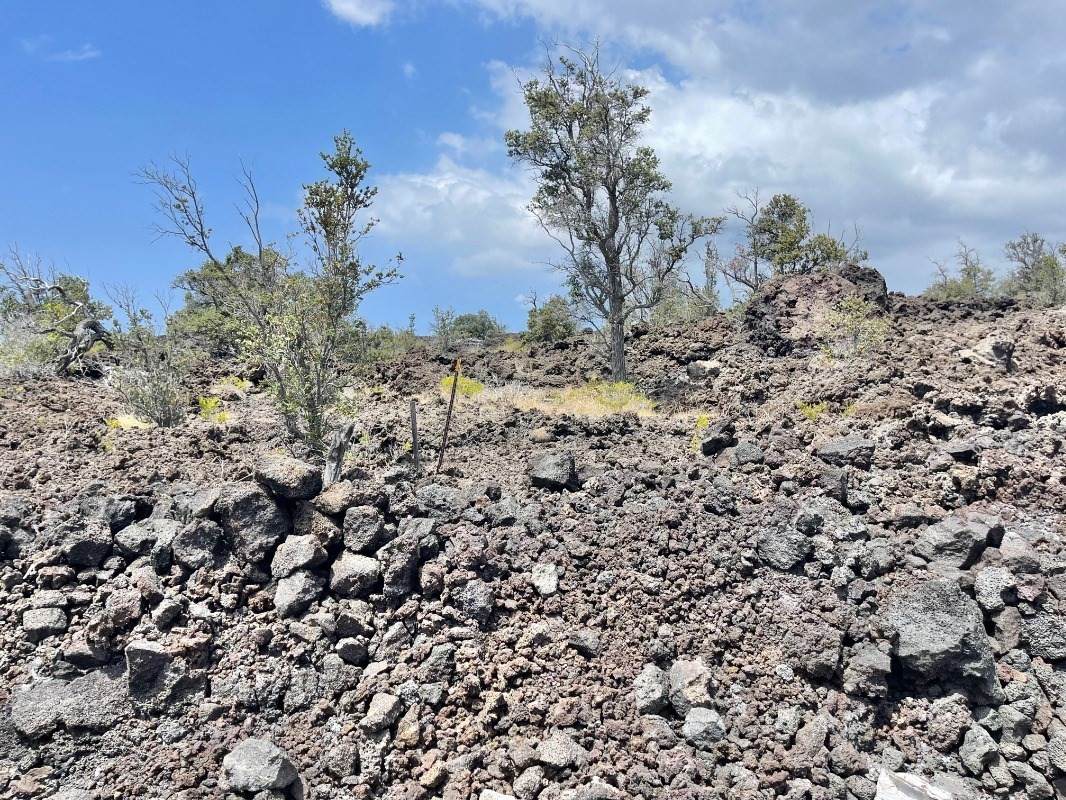  Address Not Published - Photo 1