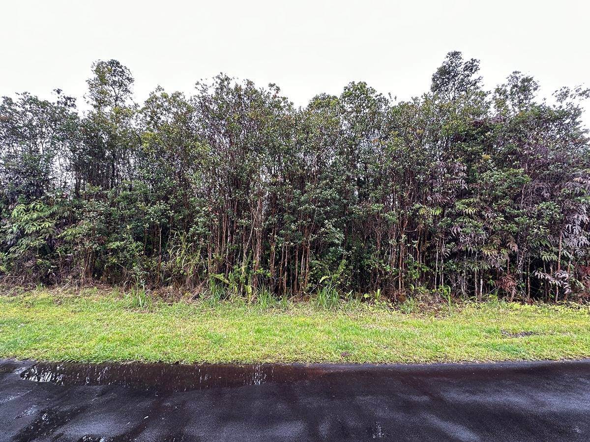 Lehua St - Photo 1