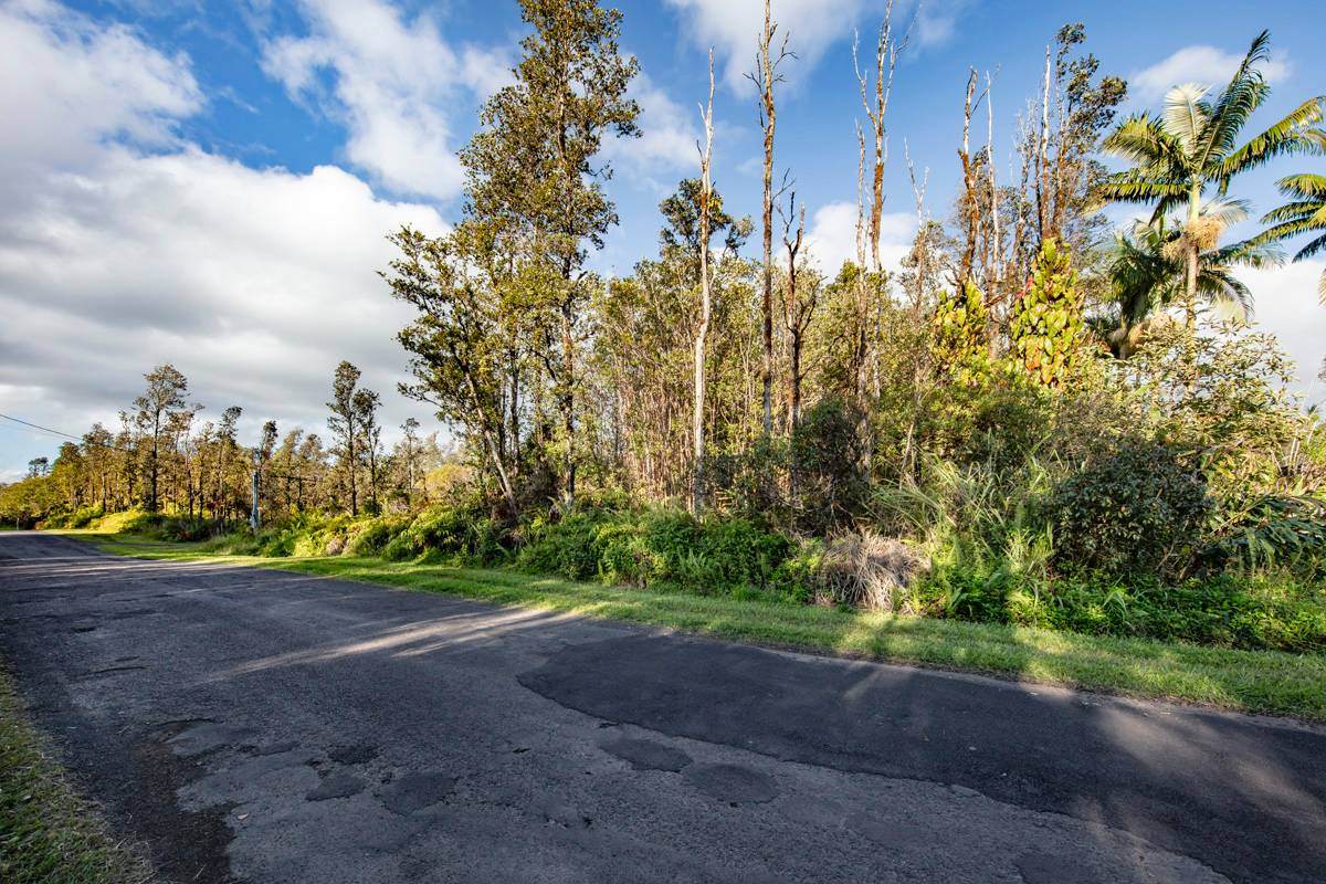 11-2884 Hibiscus St - Photo 1