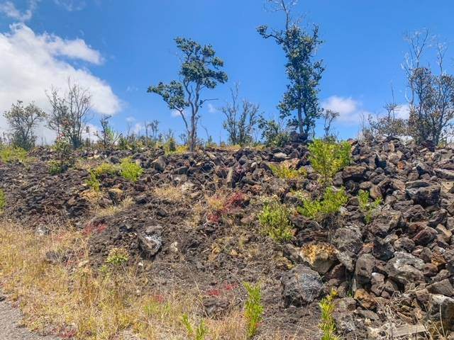 https://bt-photos.global.ssl.fastly.net/hawaii/orig_boomver_1_707824-2.jpg
