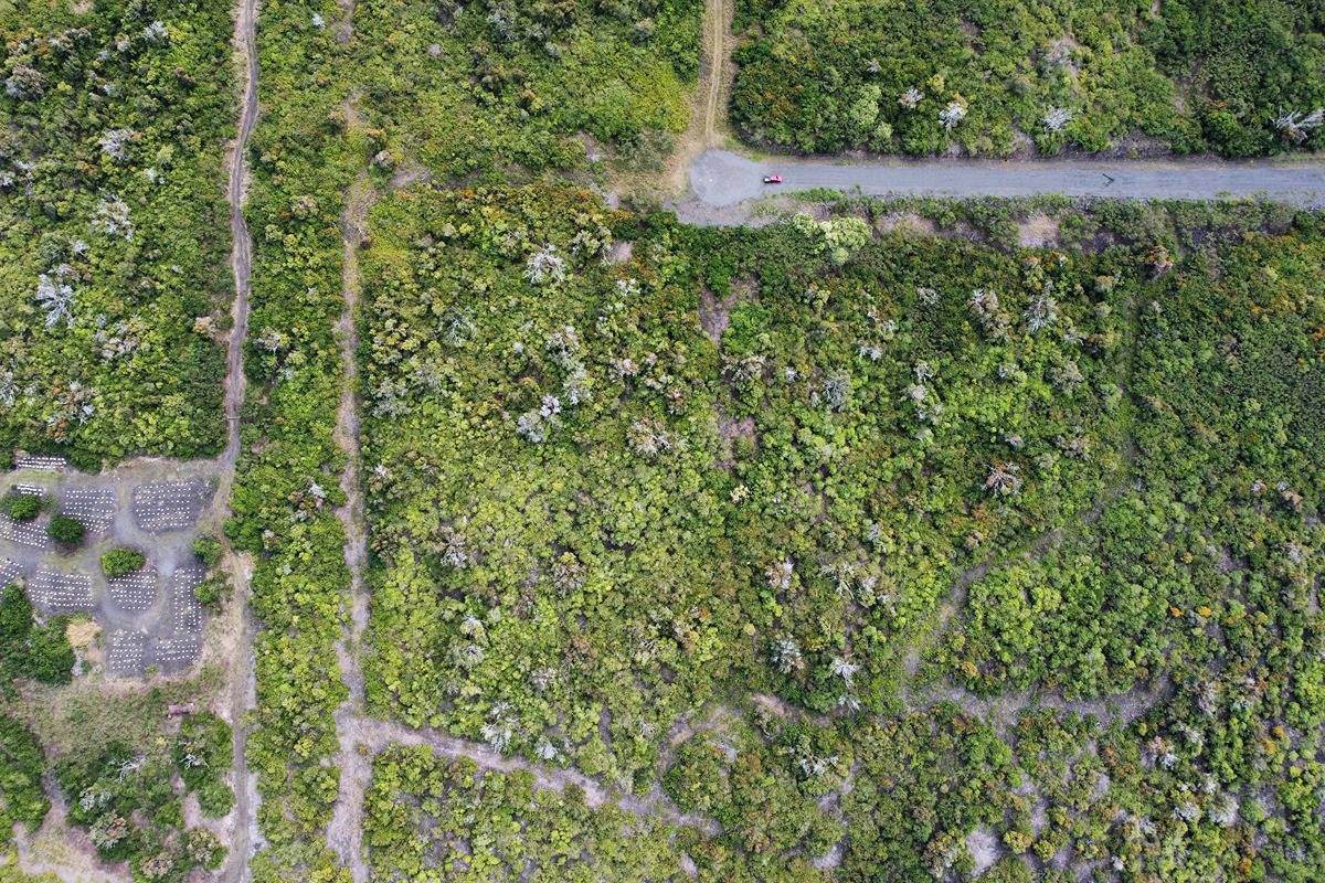 87-4049 Aukele Pl - Photo 1