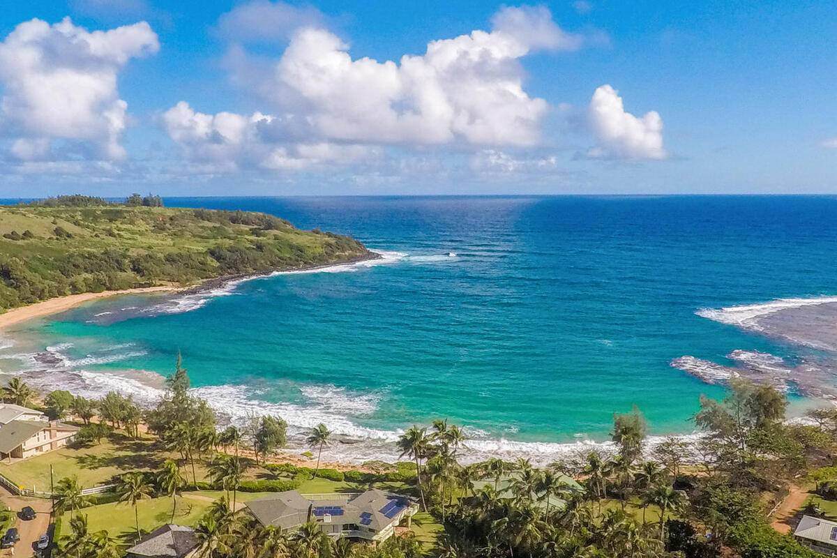 6235 Koolau Rd - Photo 1