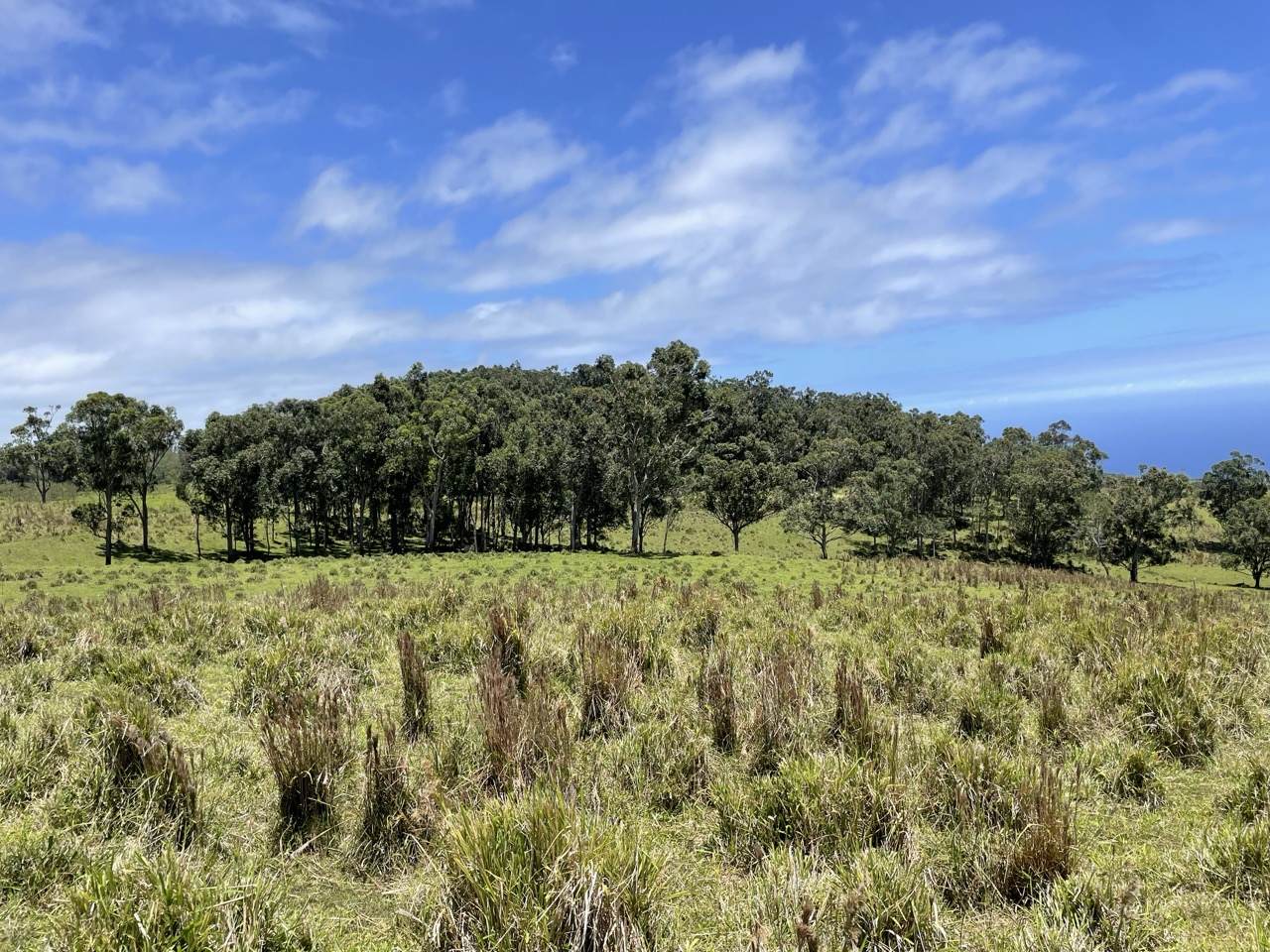  Kaalualu Rd - Photo 1