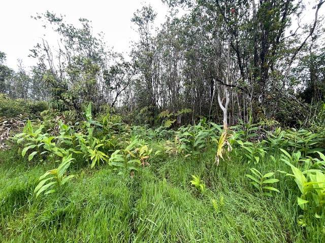 11-2872 Apuakehau Rd - Photo 1