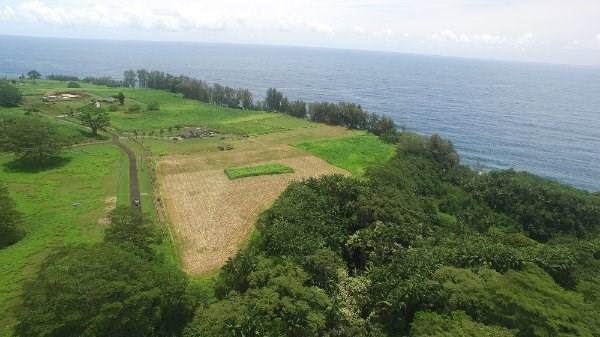  Address Not Published - Photo 1