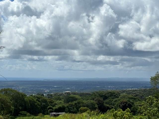  Puueo Mauka Dr - Photo 1