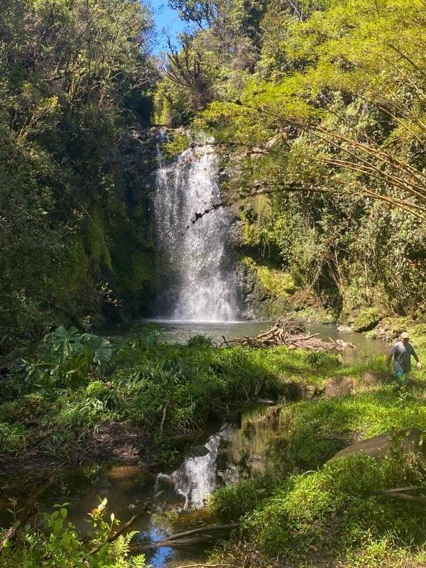 32-473 Wailele Rd - Photo 1