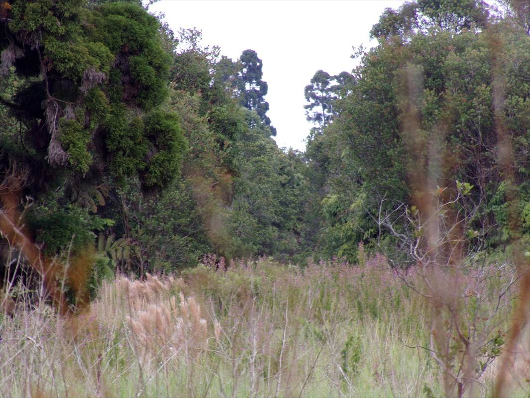 Glenwood Rd - Photo 1