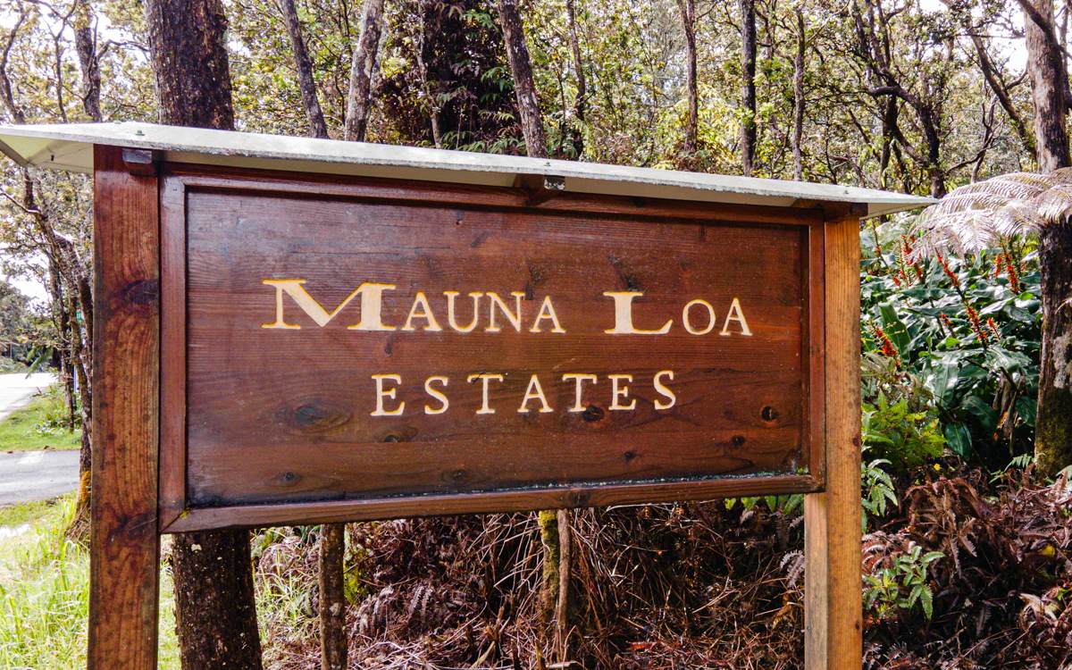 11-3854 3RD ST - Photo 1