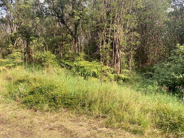 Road 5 - Photo 1