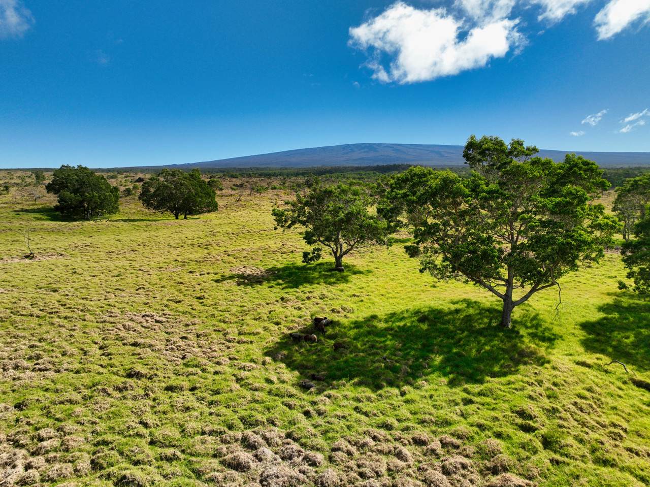 https://bt-photos.global.ssl.fastly.net/hawaii/orig_boomver_1_717667-2.jpg