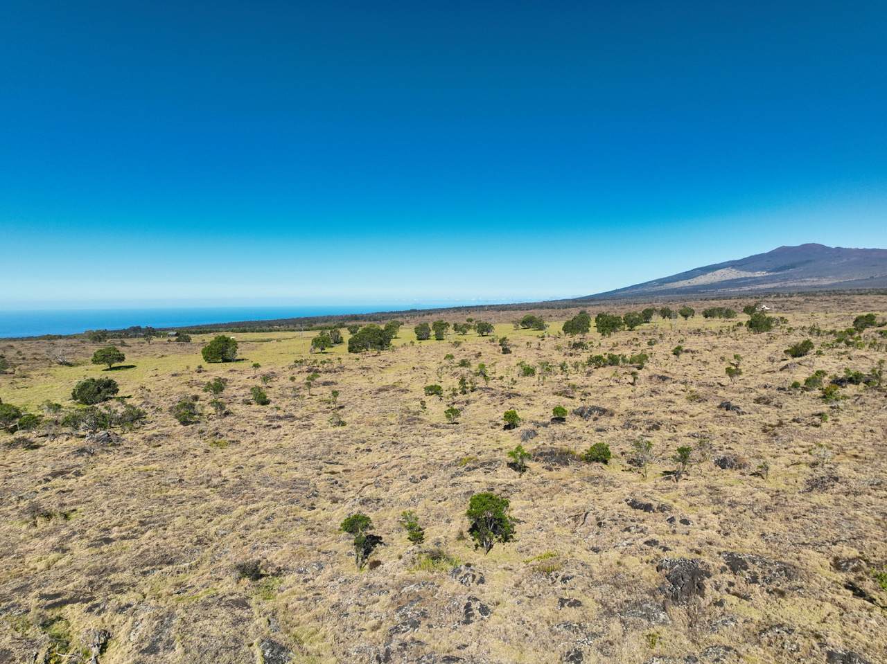 https://bt-photos.global.ssl.fastly.net/hawaii/orig_boomver_1_717667-2.jpg