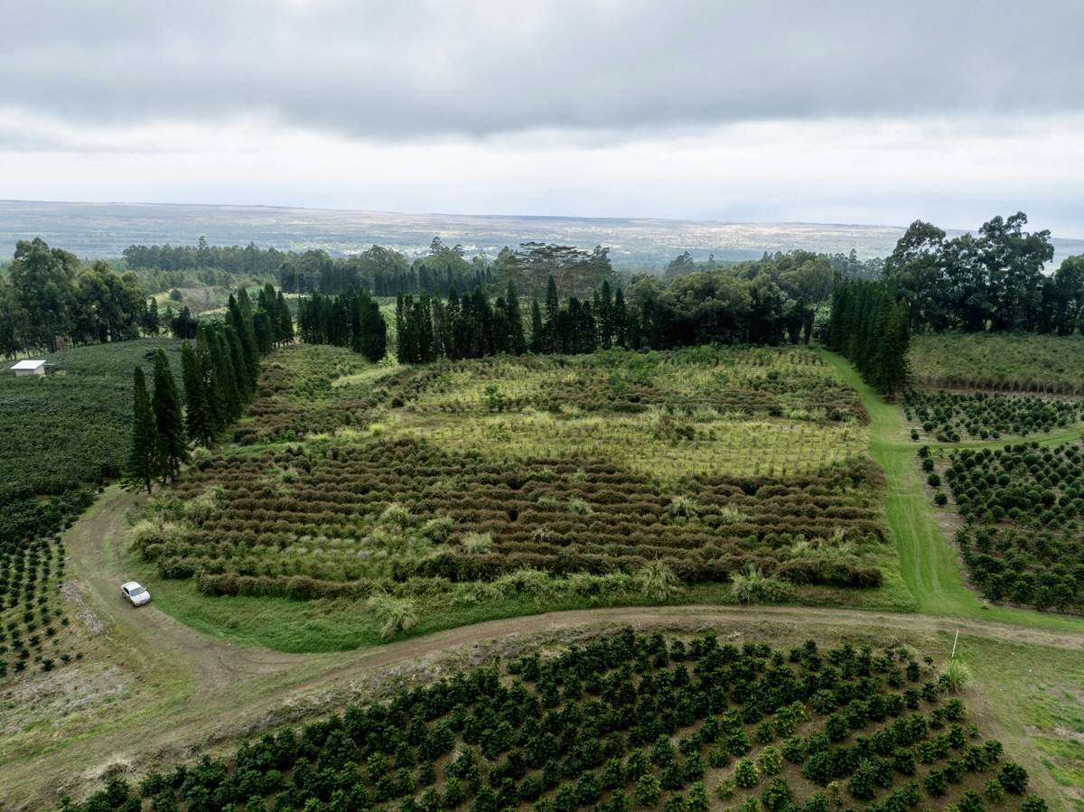  Address Not Published - Photo 1