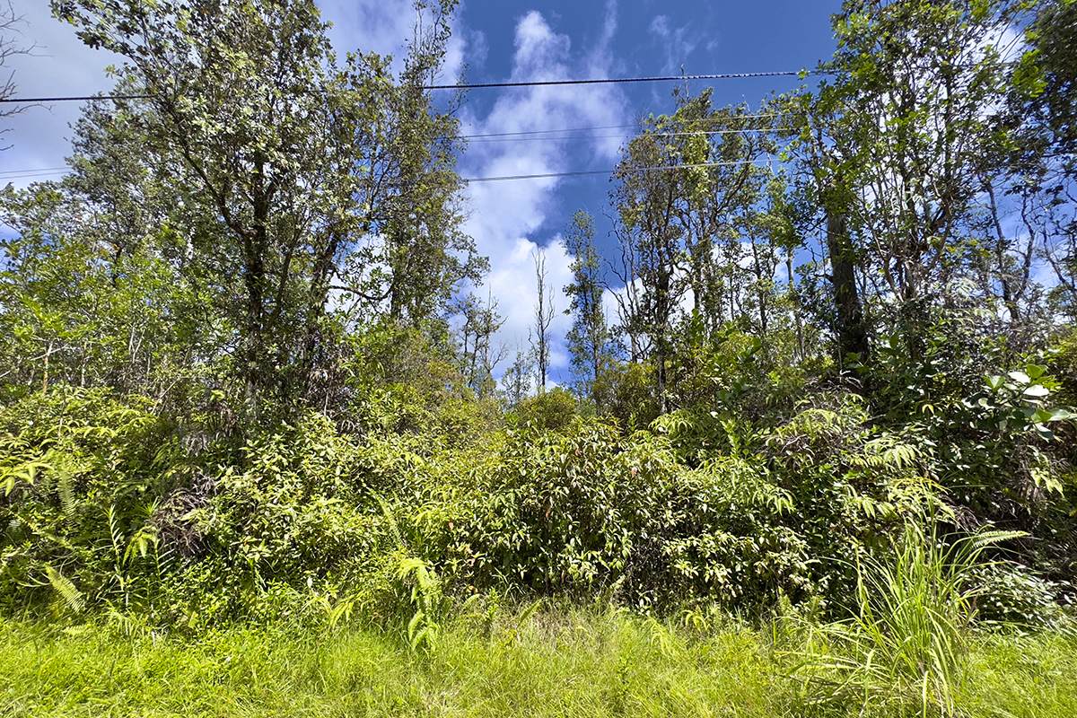 https://bt-photos.global.ssl.fastly.net/hawaii/orig_boomver_1_718071-2.jpg