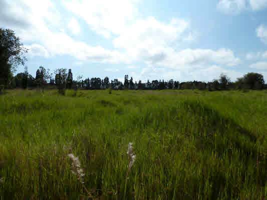  Volcano Hwy - Photo 1