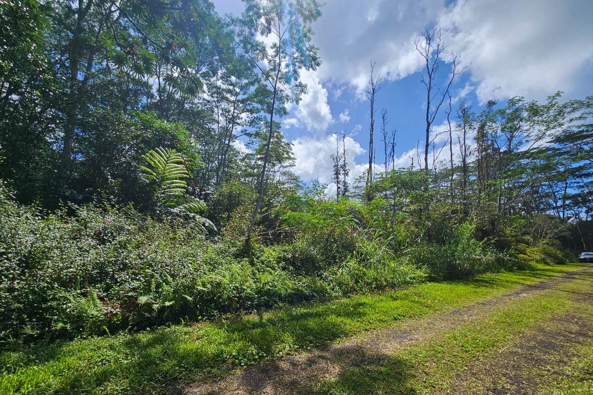 https://bt-photos.global.ssl.fastly.net/hawaii/orig_boomver_1_718627-2.jpg