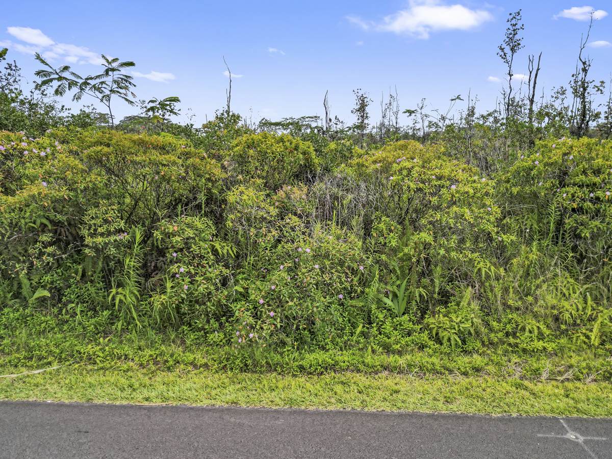 https://bt-photos.global.ssl.fastly.net/hawaii/orig_boomver_1_719585-2.jpg