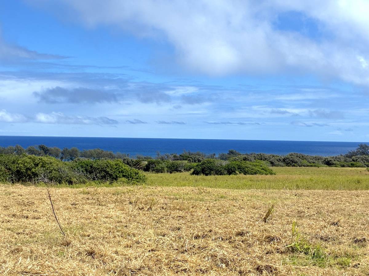 Akoni Pule Hwy - Photo 1