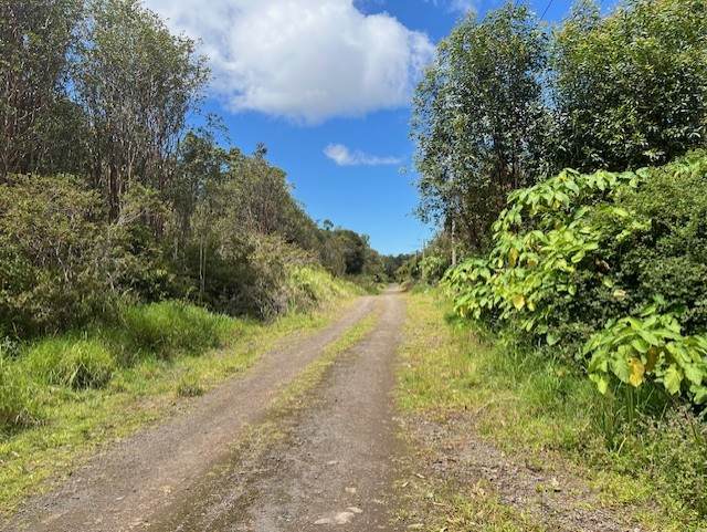 https://bt-photos.global.ssl.fastly.net/hawaii/orig_boomver_1_720345-2.jpg