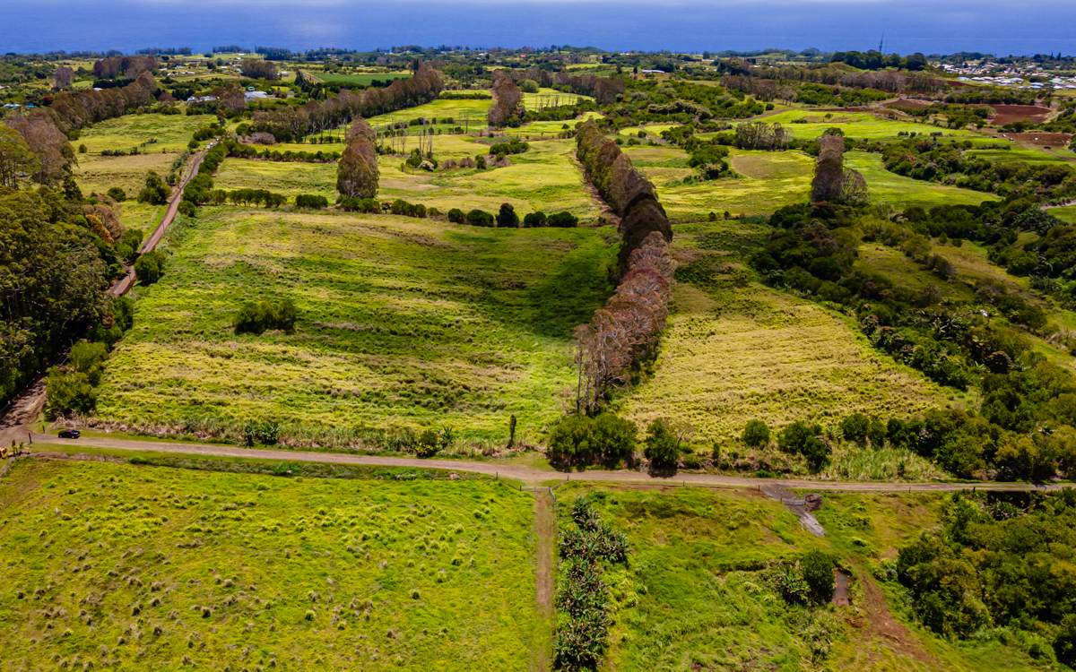28-583 Kaupakuea Homestead Rd - Photo 1