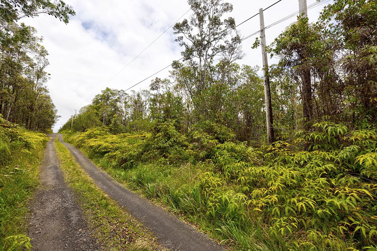 Lelehuna Rd - Photo 1