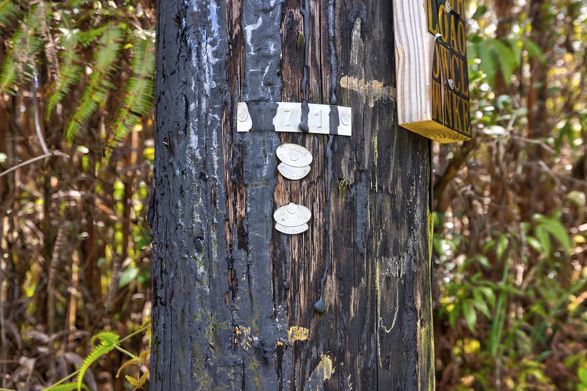 https://bt-photos.global.ssl.fastly.net/hawaii/orig_boomver_1_721296-1.jpg