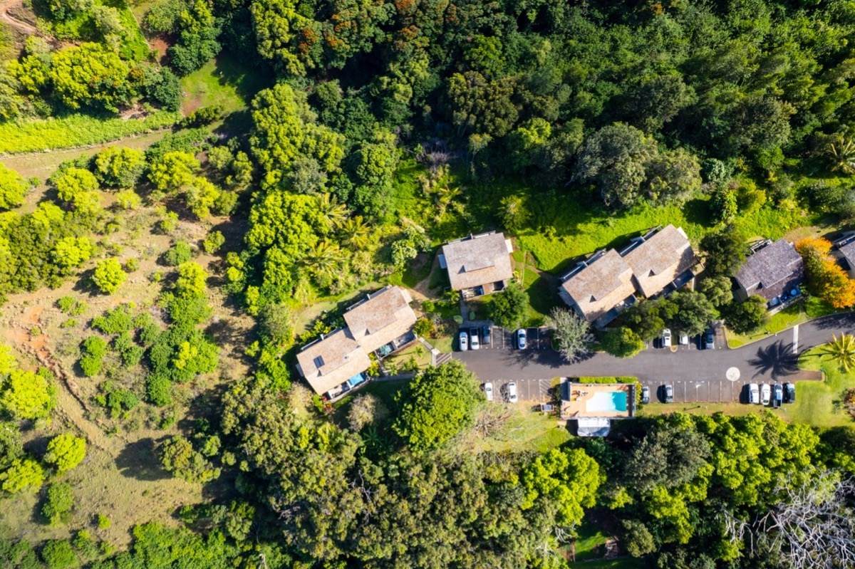 4460 Ikena Pl - Photo 1