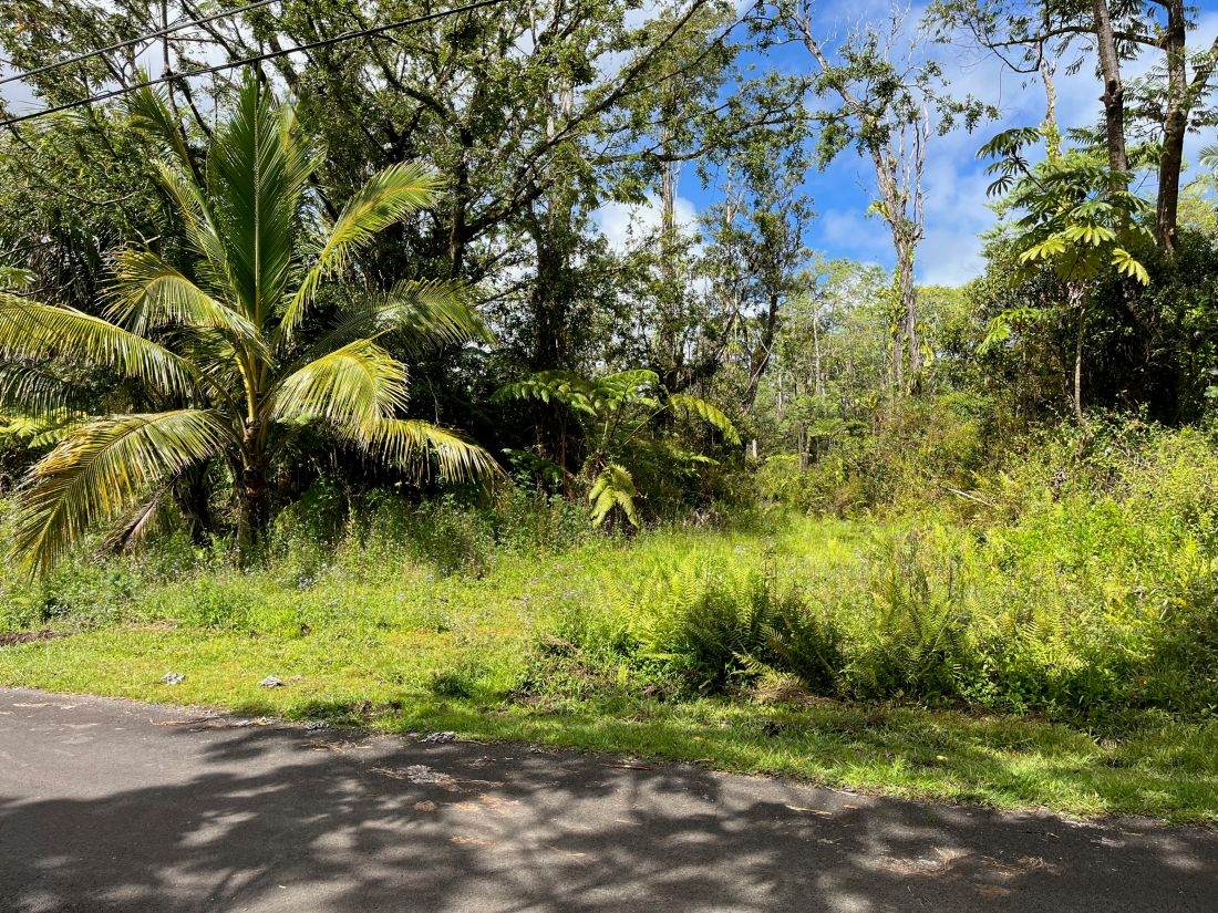  Kumakahi St - Photo 1