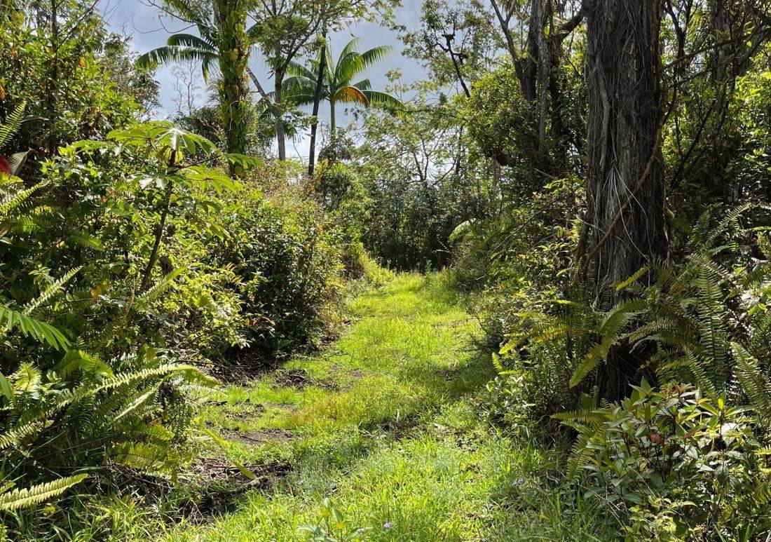  Kumakahi St - Photo 1