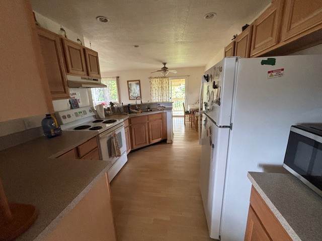16-2132 Uilani Dr - Photo 1