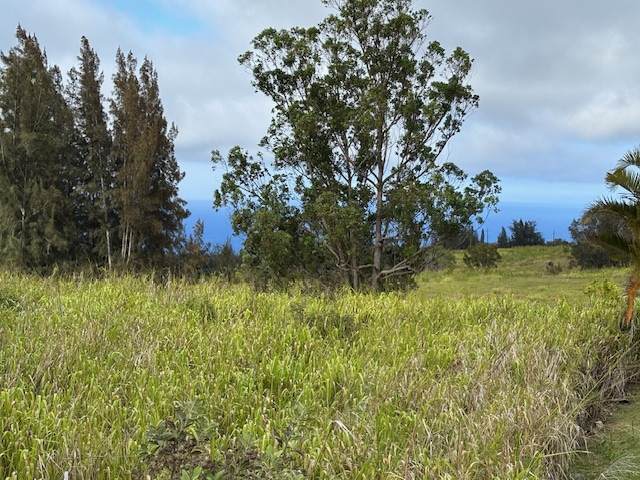  Palikekua St - Photo 1
