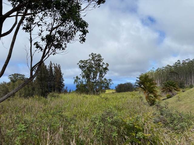 https://bt-photos.global.ssl.fastly.net/hawaii/orig_boomver_1_722634-1.jpg