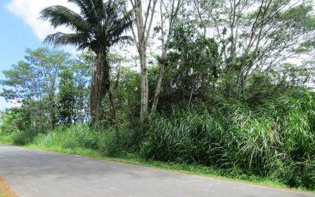  35TH AVE - Photo 1
