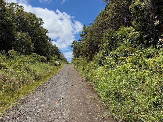 18-2285 Kakahiaka Uhane St - Photo 1