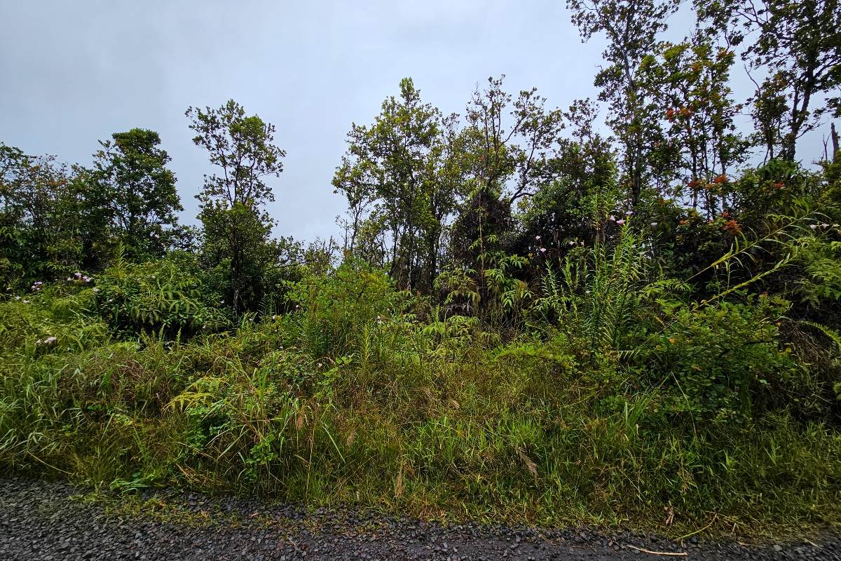  Makoa Rd - Photo 1